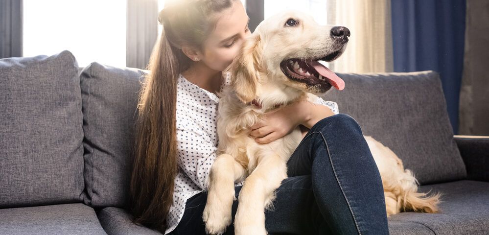 beneficios adoptar un perro