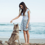 trucos para enseñar a tu perro a sentarse
