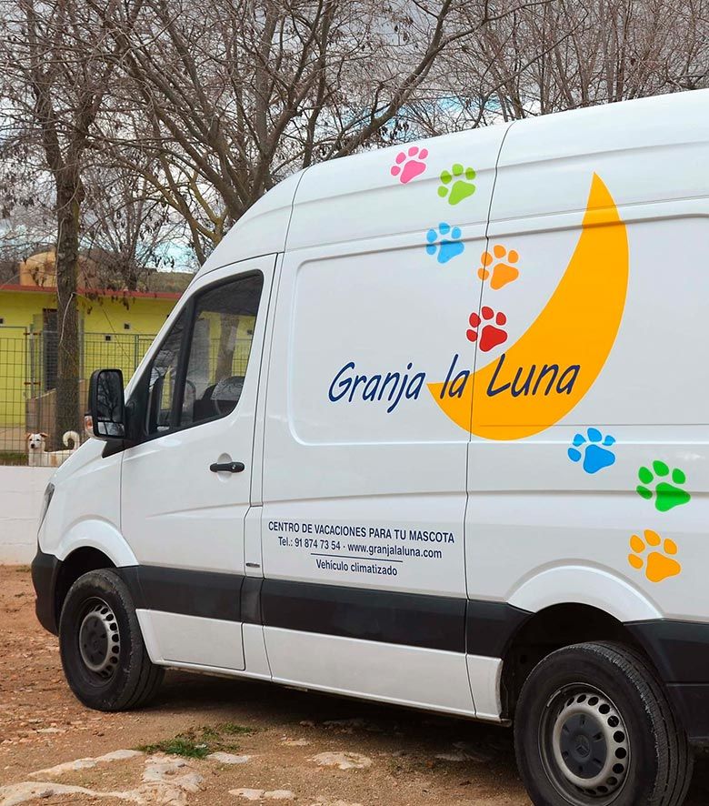 Residencia canina madrid transporte