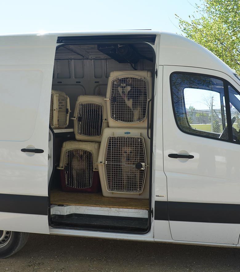 Transporte animales madrid
