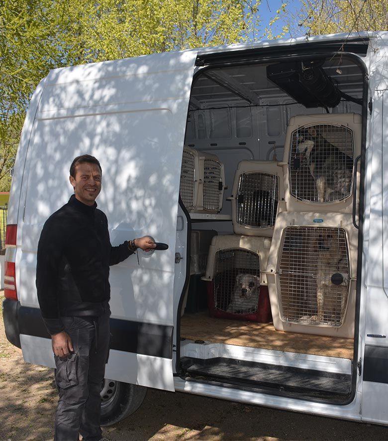 Residencia perros Madrid