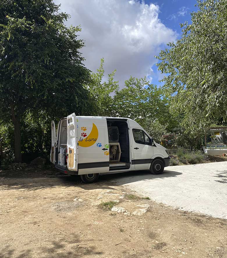 transporte mascotas a domicilio