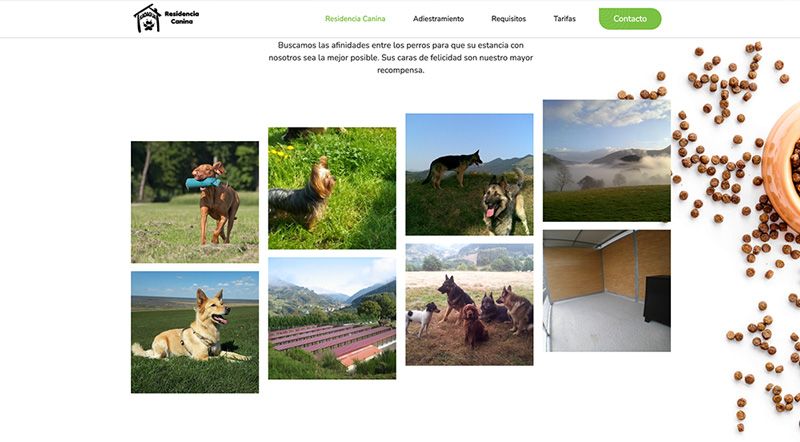 mejores residencias animales