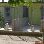 mejores residencias animales