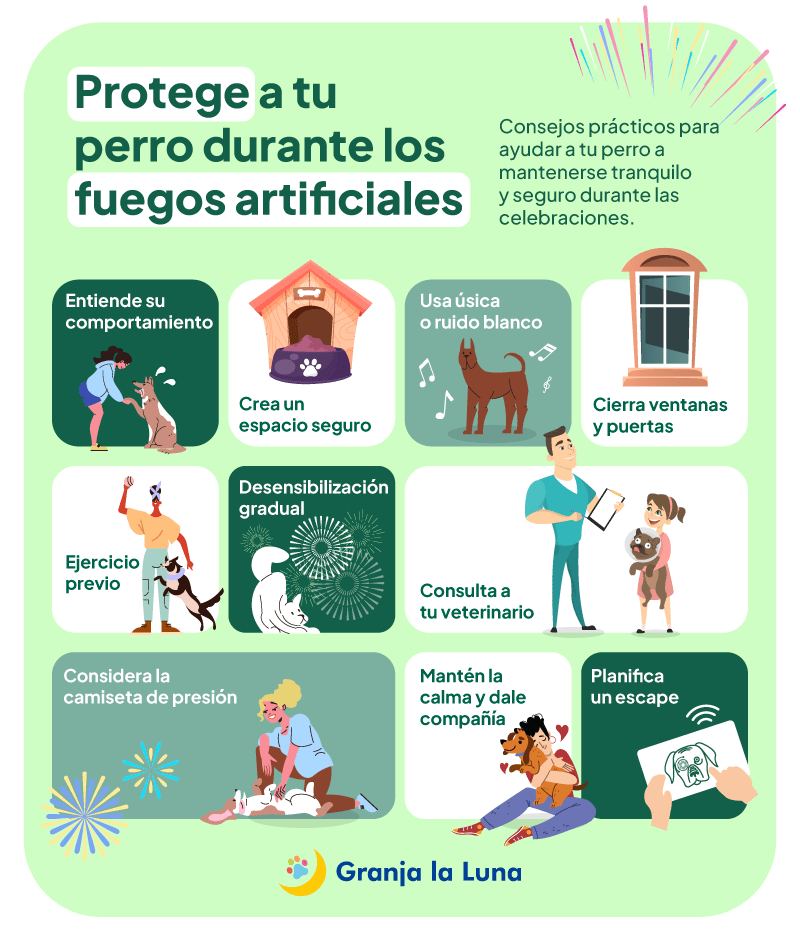 fuegos artificiales perros
