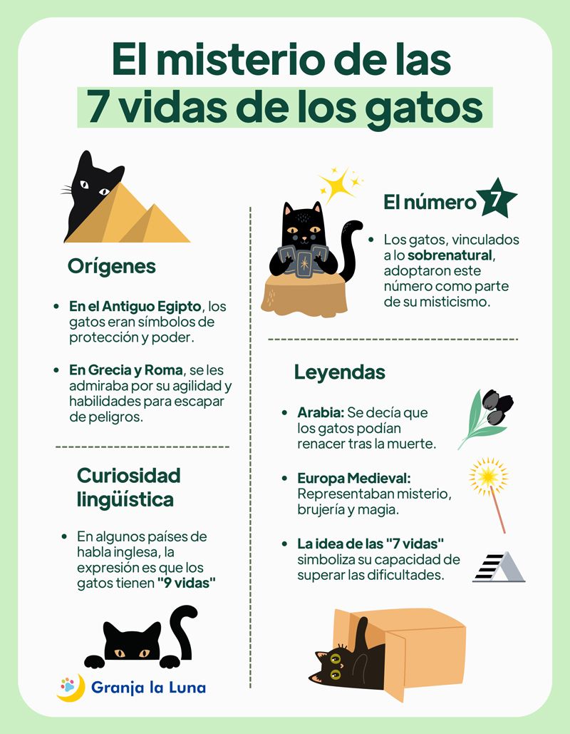 siete vidas gatos