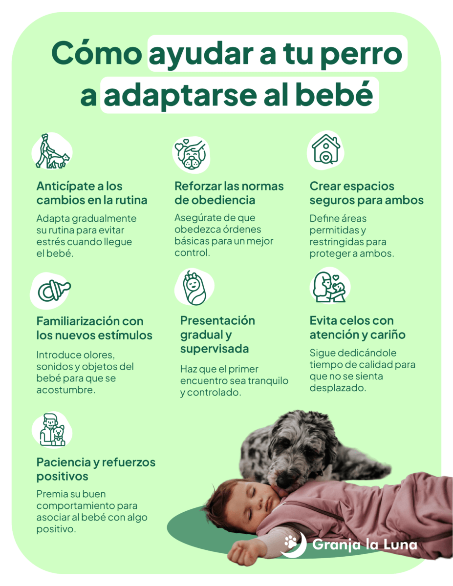 bebé con perro