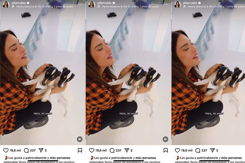 amor perros pilar rubio