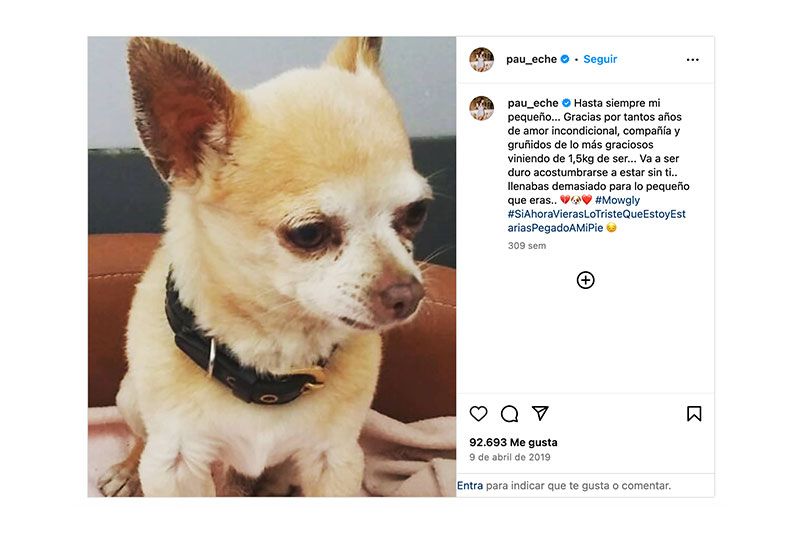 10 famosos conocidos por su amor a los perros