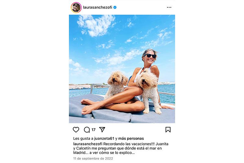 famosos amor a los perros