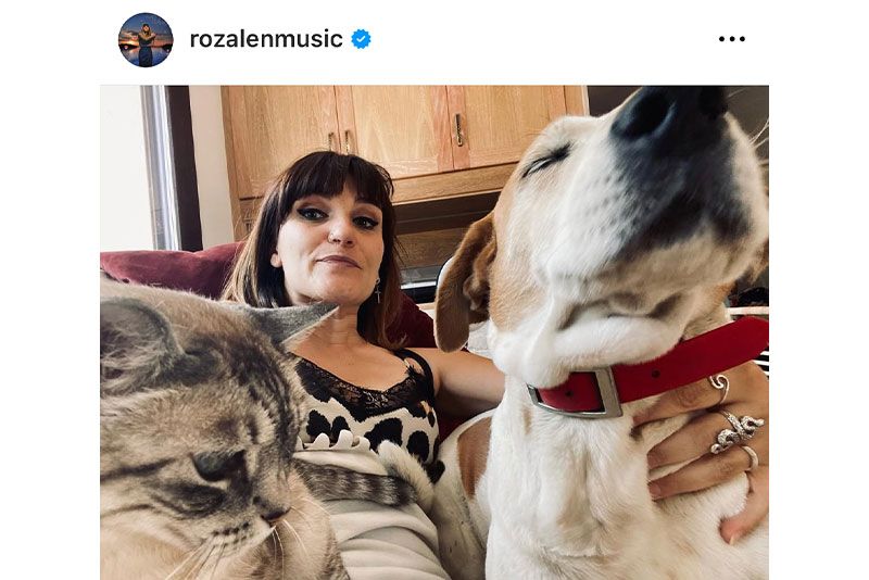 famosos amor a los perros
