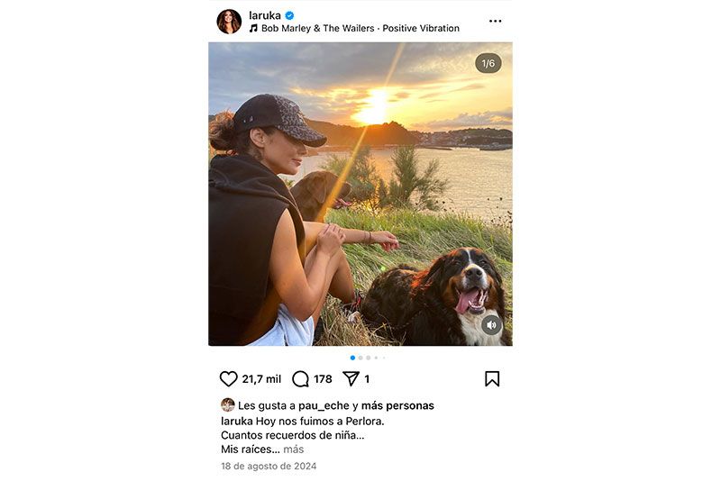 famosos amor a los perros