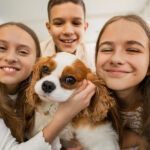 razas de perros para convivir con niños