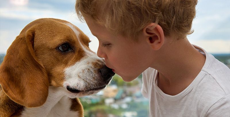 razas de perros para convivir con niños