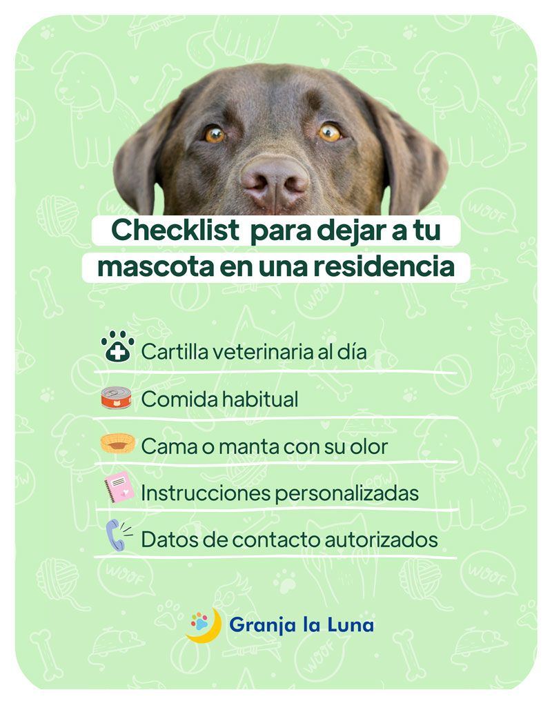 mascota residencia madrid