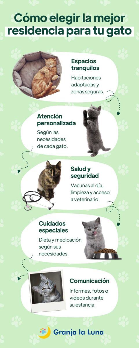 mejor residencia gatos Madrid