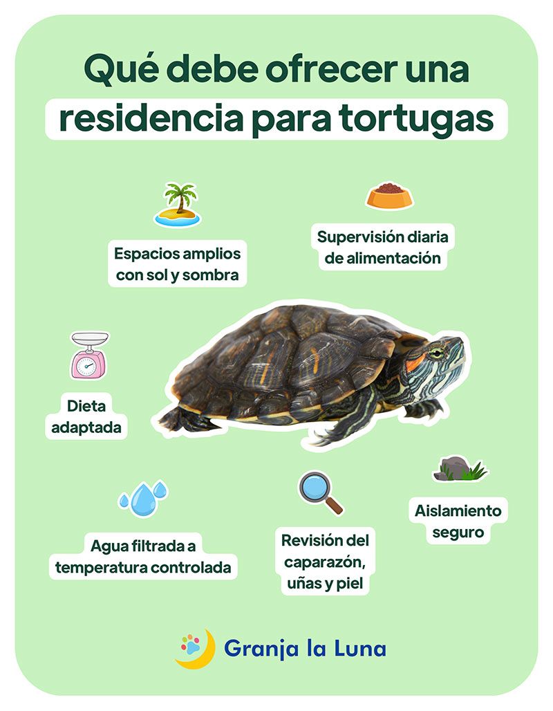 Residencia tortugas en Madrid