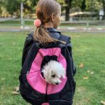 Vuelta cole perro gato