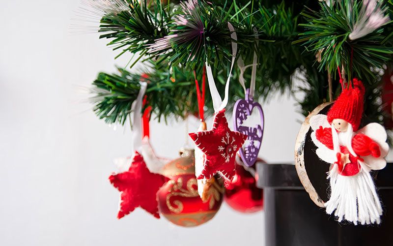 cuidar perros y gatos en Navidad