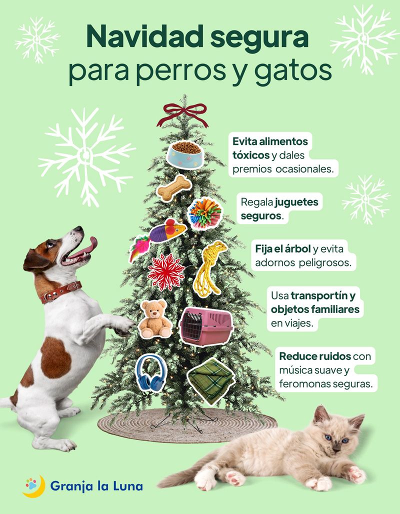 cuidar-perros-y-gatos-en-Navidad