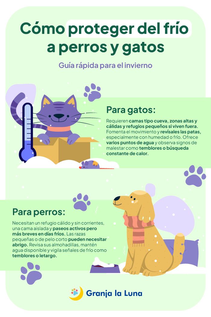 frío-perros-y-gatos