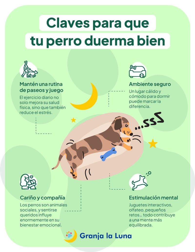 sueños perros