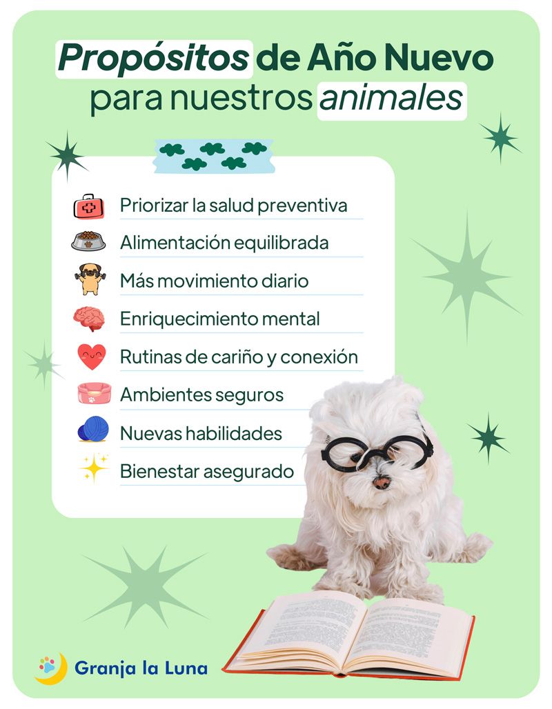 bienestar animal