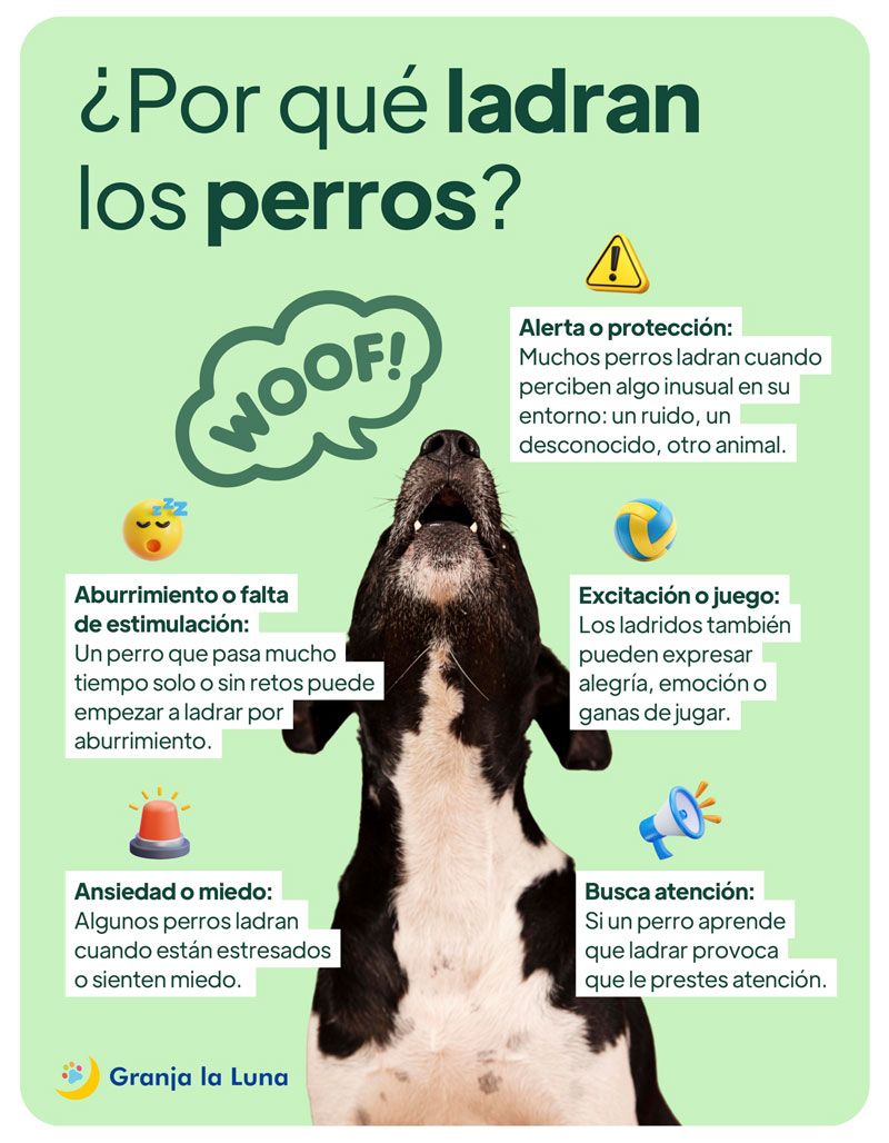 por qué ladran los perros