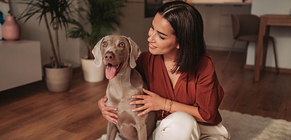 mejores razas de perros para casa