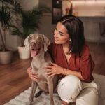 mejores razas de perros para casa