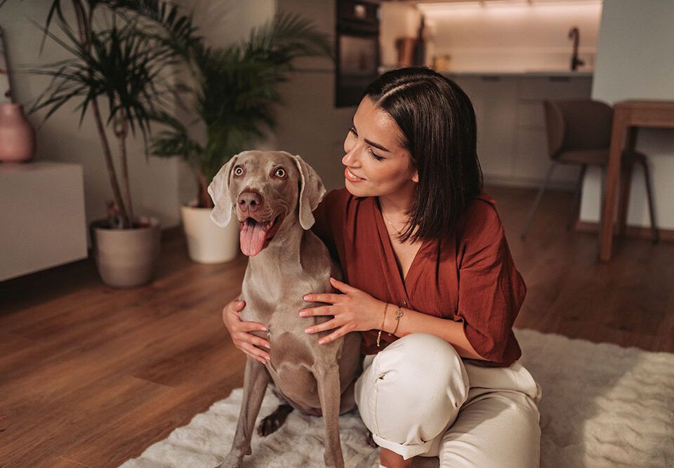 mejores razas de perros para casa