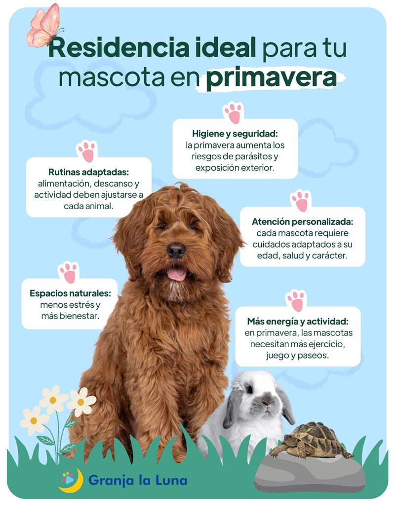 residencia mascotas primavera