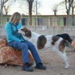 residencias para mascotas