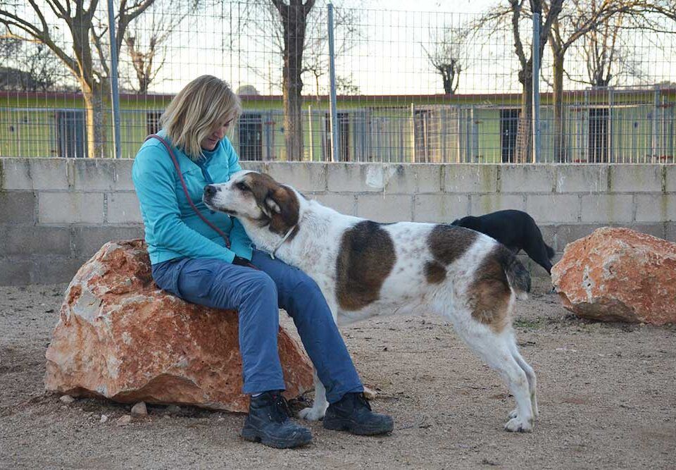 residencias para mascotas