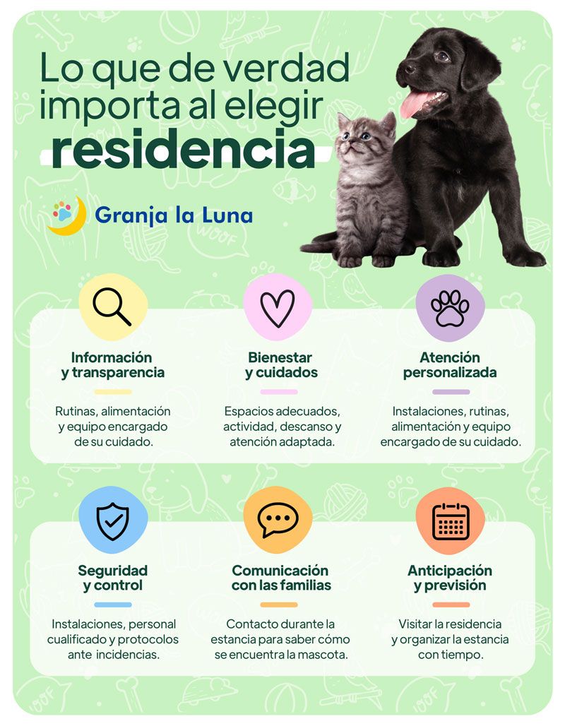 residencias para mascotas