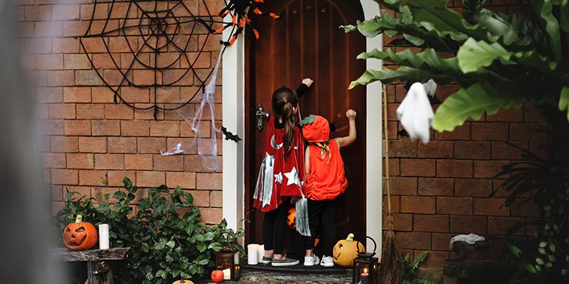 Halloween y mascotas